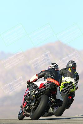 media/Jan-13-2024-SoCal Trackdays (Sat) [[9c032fe5aa]]/Turn 9 Backside (110pm)/